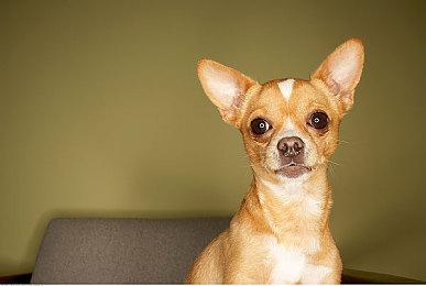 《永劫无间》迎来版本更新，清明节活动、商城焕新上线！